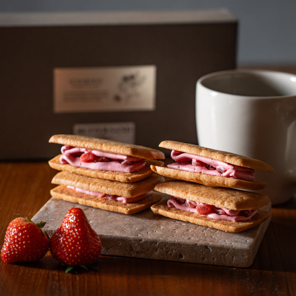 ICHIBIKO 新おためしセットB